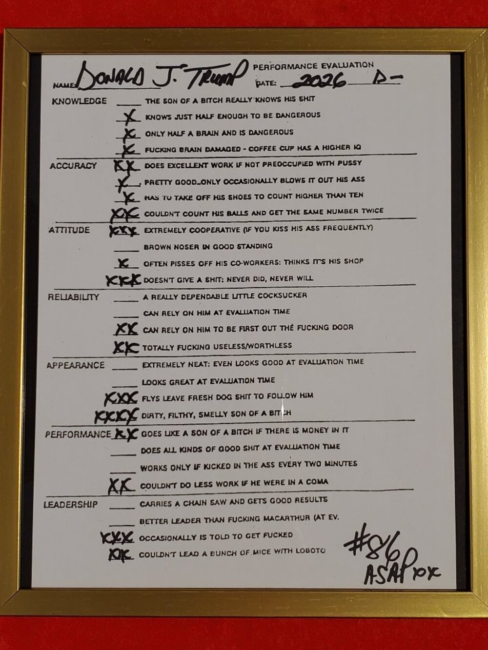 Gold Framed Donald Trump 2026 Performance Evaluation - POS - NOT For Kids!